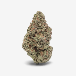 Sibanax Hybrid MCF 23/1