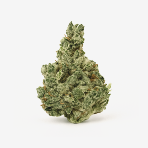 Pedanios 10/13 MBE-CA – Moon Berry