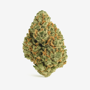 enua 27/1 PS3 BCP – Black Cherry Punch
