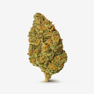 Pedanios 28/1 CMK-CA Chemango Kush